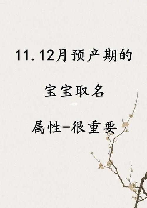 十月底预产期宝宝起名字（十月预产期需准备什么）