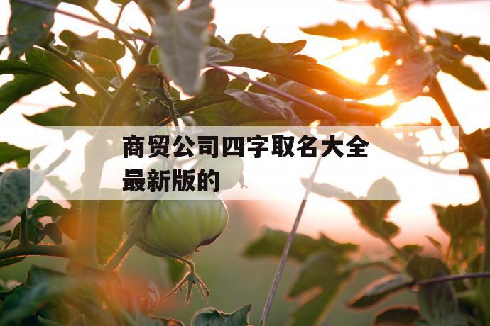 公司起名字4个字大全（公司取名四个字吉利推荐）
