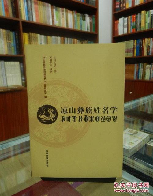 彝族男宝宝起名字大全（彝族男宝宝起名字大全四个字）