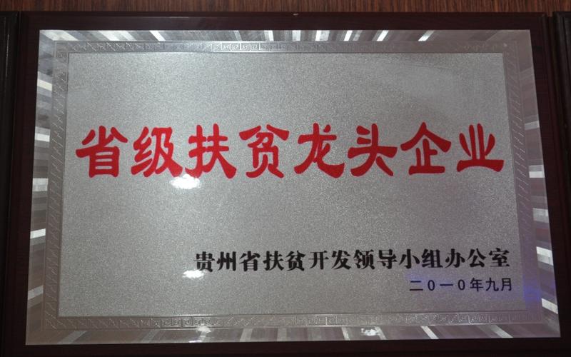 扶贫公司起名字大全（扶贫公司起名字大全最新）