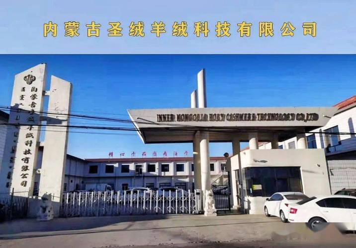 羊绒公司起名字（羊绒公司起名字大全免费）