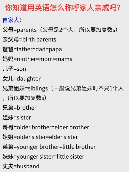 全部亲戚的名称大全（全部亲戚的名称大全英文）