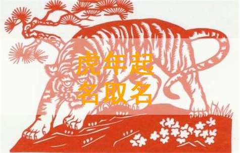 丁氏虎宝宝起名字（丁氏宝宝取名大全）