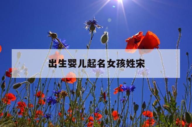 姓宋宝宝起名字女孩大全（姓宋女宝宝洋气的名字）