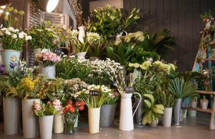 卖植物店铺起名字大全可爱（植物店名字创意唯美）