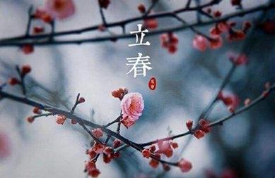 鼠立春起名字大全（鼠年立春出生取名）
