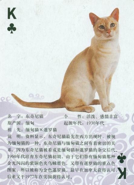 起名字大全招财（猫咪起名字大全招财）