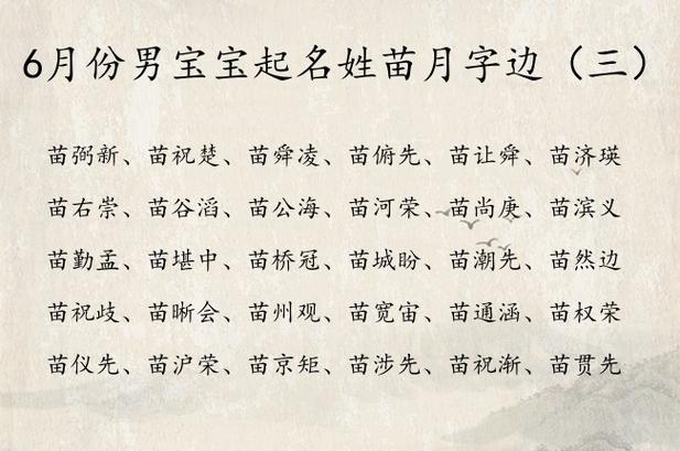 姓苗起名字男宝宝（姓苗起名字男宝宝大全）
