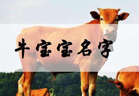 属牛宝宝起名字禁忌（属牛的宝宝起名宜忌字）