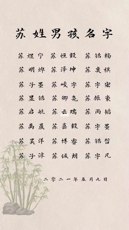 宝宝起名字姓苏（宝宝起名字姓苏怎么取）