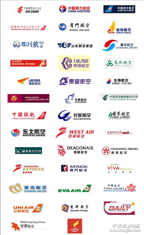 起名字航空公司怎么取（给航空公司取名）