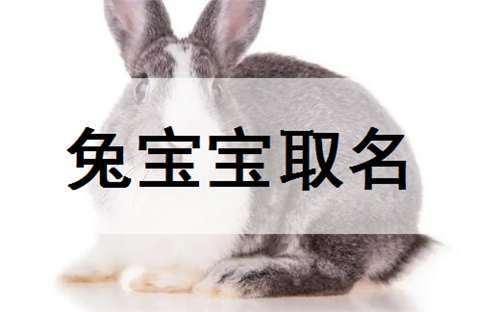 起名字男孩兔子宝宝好吗（兔男孩名字大全）