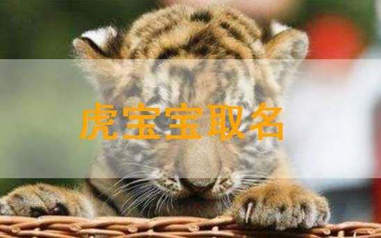 虎宝宝用家字起名字（虎宝宝用家字起名字好不好）