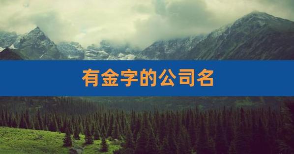 金怎么公司起名字（金字公司起名最好的组合）