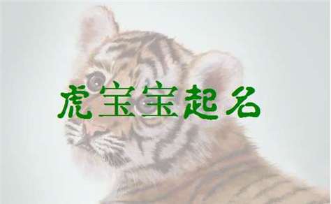 出生起名字虎宝宝（出生起名字虎宝宝好吗）