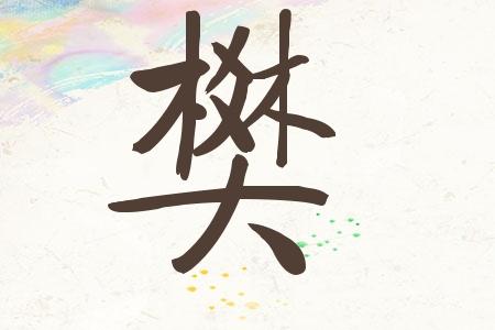 樊性宝宝起名字（樊姓宝宝名字大全）