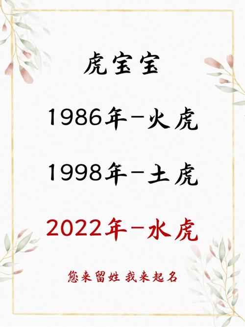 水虎年男孩宝宝起名字（水虎年男宝取名）