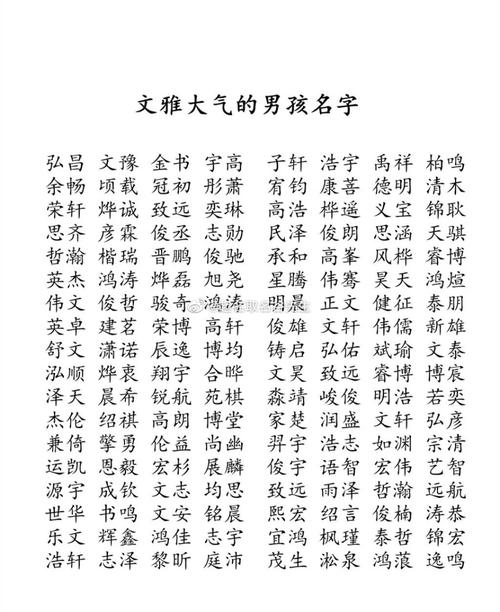 定制男孩起名字大全（好听的定制名字）