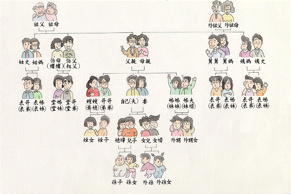 表侄起名字大全（表侄女应该叫我叫什么）