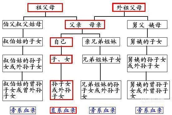 表侄起名字大全（表侄女应该叫我叫什么）