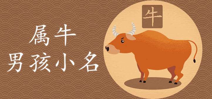 母姓牛年宝宝起名字（母亲节出生的牛宝宝小名）