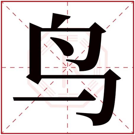 鸟取名字店铺起名大全男（鸟名字公司取名）