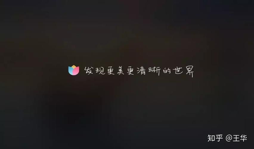 壁纸软件起名字大全（壁纸软件十大排名）