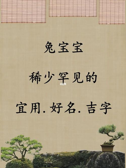 兔宝宝起名字经验分享（兔宝宝怎么起名）