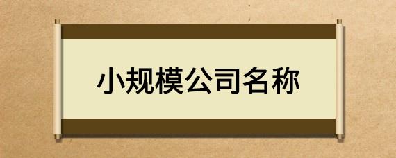 小规模个体公司起名字（小规模个体公司起名字怎么取）
