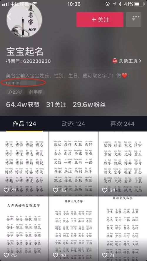 抖音公司起号怎么起名字（抖音公司起号怎么起名字呢）