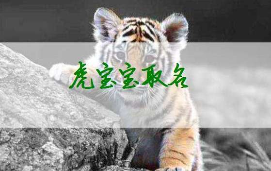 虎年宝宝取名打分免费（虎年宝宝名字大全2021有寓意）