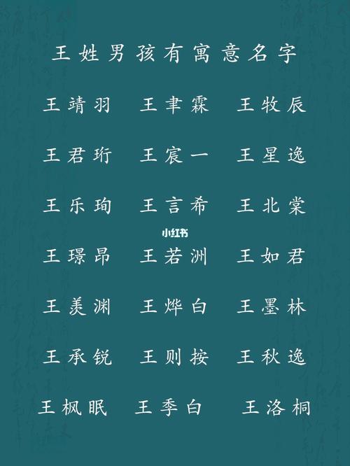 王宝宝起名字大全男（王宝宝姓名）