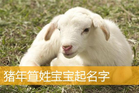羊年宝宝姓常起名字（羊姓宝宝取名）