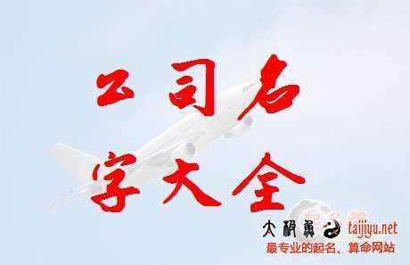 起名字公司宣传怎么写（起名公司名称大全）