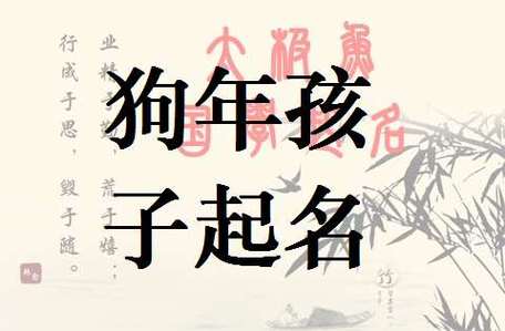 跟属狗的宝宝起名字（属狗的宝宝起名字禁忌）