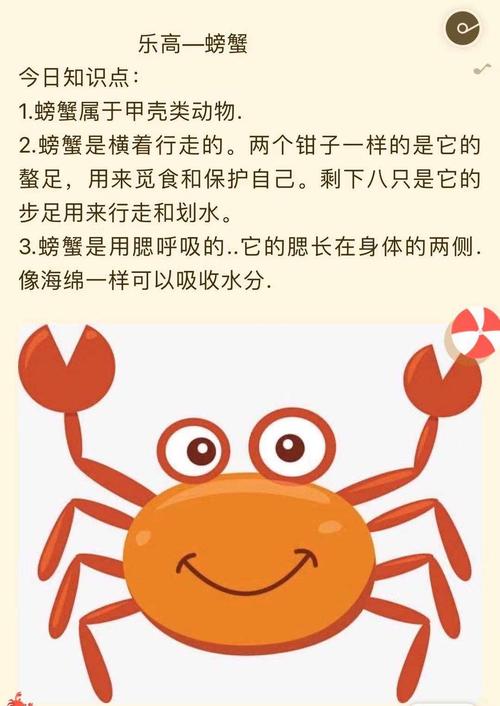 螃蟹起名字可爱女宝宝（小螃蟹取什么名字好听）