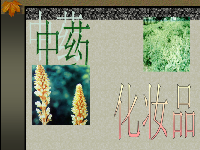 中草药化妆品店铺起名大全（中药化妆品起什么名字好）