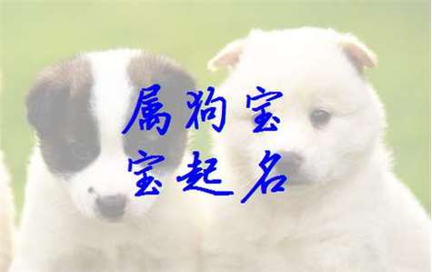 2006属狗的男孩名字大全集（2006属狗起名宜用字大全）