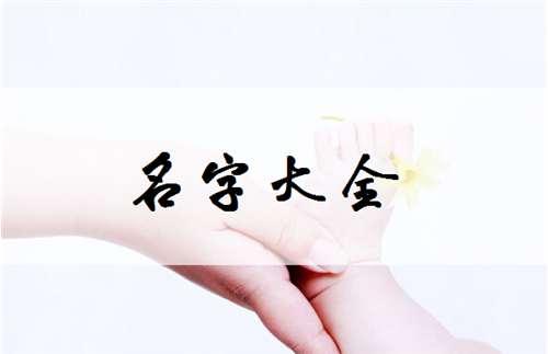 隋宝宝怎么起名字（隋宝宝怎么起名字的）