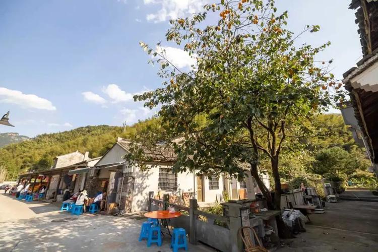 深山农家乐店铺起名大全（深山农家乐店铺起名大全最新）