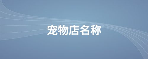 宠物店店铺起名大全（宠物店铺名字大全）