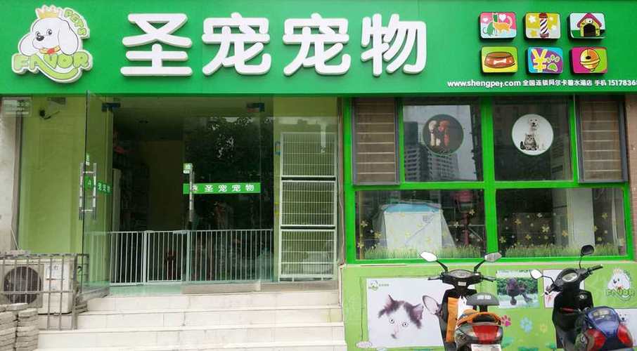 宠物店店铺起名大全（宠物店铺名字大全）
