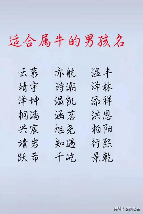 2021年男牛宝宝名字大全（2021牛年男宝宝名字大全集）
