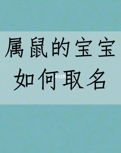 鼠宝宝起名字软件名字（鼠宝宝起名字软件名字怎么取）