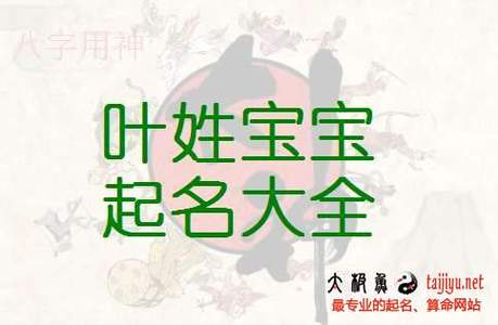 叶氏男宝宝起名字（叶姓男宝宝什么好听）