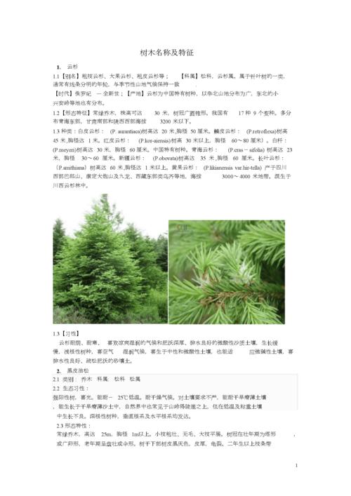 树木起名字大全（树木起名字大全女孩）