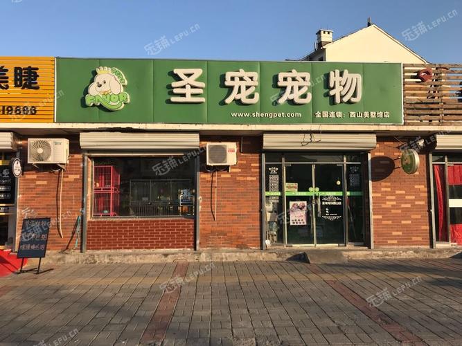 出租宠物公司起名字（出租宠物公司起名字怎么起）