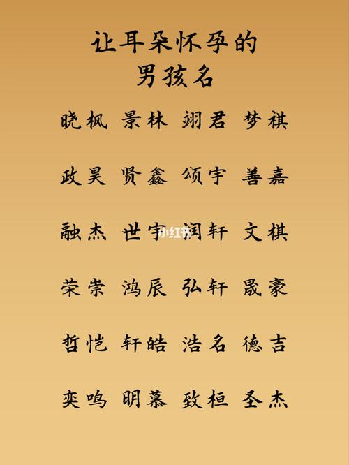 甜美宠物起名字男宝宝（甜甜的宠物名）