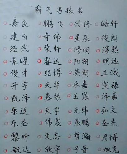 姓总的宝宝起名字（总字取名的寓意）