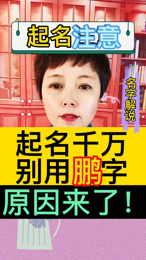 鹏字起名字的公司（鹏字命名的公司）